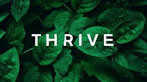 Thrive: Unlock Your Full Potential with These Proven Strategies