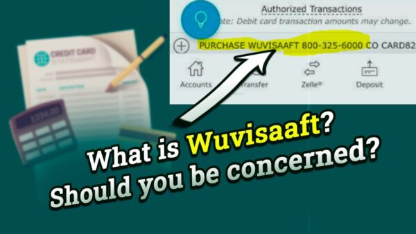 Wuvisaaft: Transforming Your Financial Future